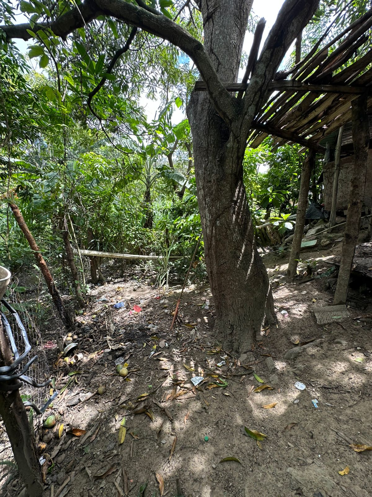 Clothes Distribution